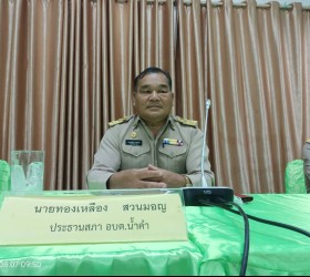 ประชุมสภา