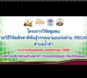 โครงการวิจัยชุมชนด้วยวิธีวิจัยเชิงชาติพันธ์ุวรรณนาแบบเร่งด่วน(RECAP)